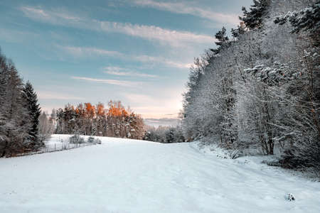 winter landscapes with snow-covered forestの写真素材