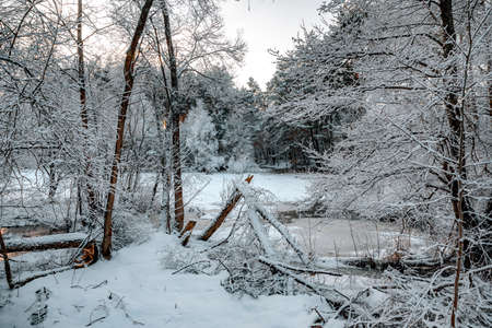 winter landscapes with snow-covered forestの写真素材