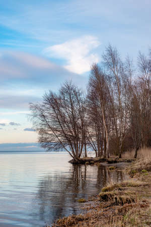 winter landscape on the beach in Puckの写真素材