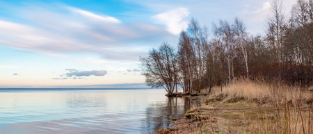 winter landscape on the beach in Puckの写真素材