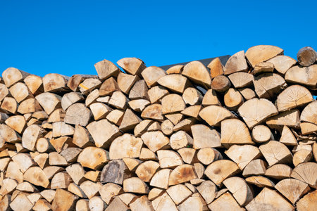 beech wood for the fireplaceの写真素材