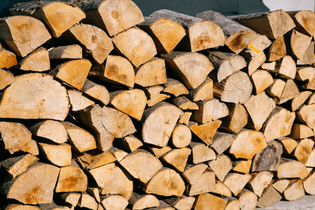 beech wood for the fireplaceの写真素材
