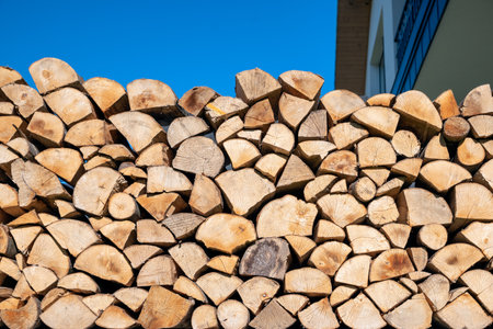 beech wood for the fireplaceの写真素材