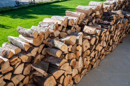 beech wood for the fireplaceの写真素材
