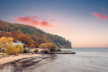 autumn view of the cliff in Gdynia OrÅowoの写真素材
