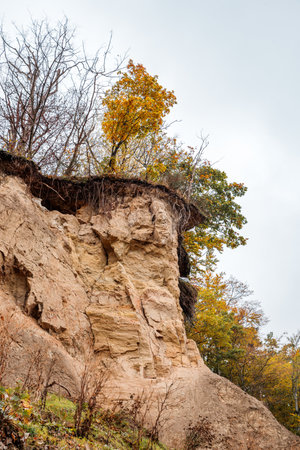 autumn view of the cliff in Gdynia OrÅowoの写真素材