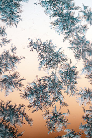 frost painted patterns on the windowの写真素材