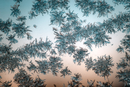 frost painted patterns on the windowの写真素材