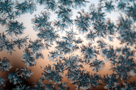 frost painted patterns on the windowの写真素材