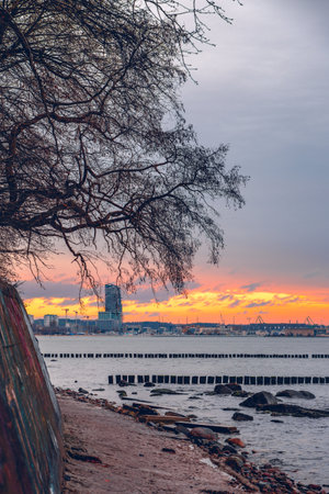 Panorama of the center of Gdynia, view from the beachの写真素材
