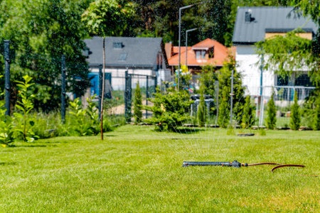 watering the garden with a sprinklerの写真素材