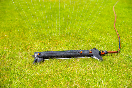 watering the garden with a sprinklerの写真素材