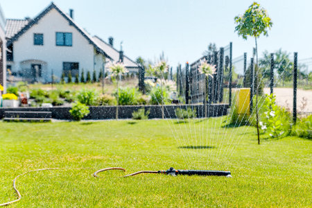 watering the garden with a sprinklerの写真素材