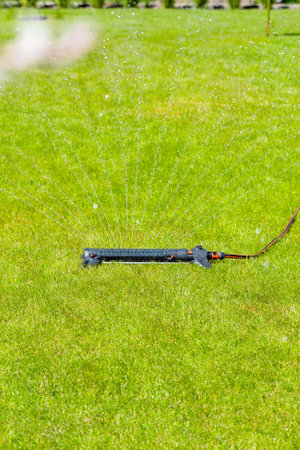 watering the garden with a sprinklerの写真素材