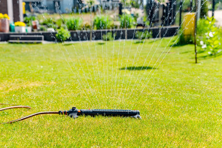 watering the garden with a sprinklerの写真素材