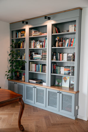 bookcase with home libraryの写真素材