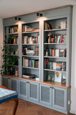 bookcase with home libraryの写真素材