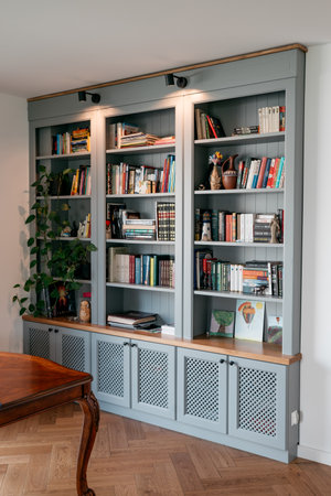 bookcase with home libraryの写真素材