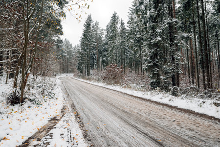 forest road covered with snowの写真素材