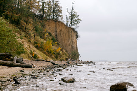 cliff in Gdynia OrÅowo in autumnの写真素材