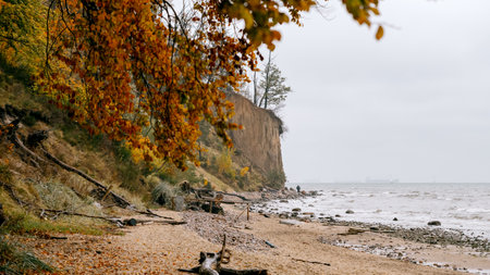 cliff in Gdynia OrÅowo in autumnの写真素材