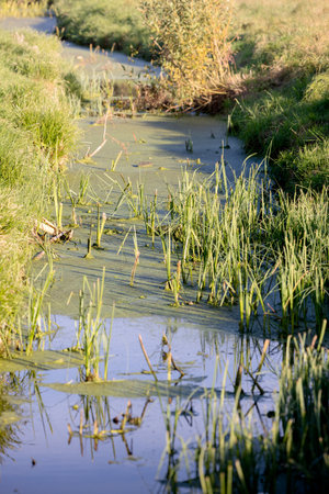 a calmly flowing river along the fieldsの写真素材