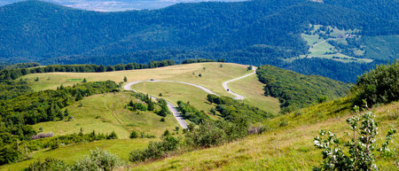 winding mountain road in summerの写真素材