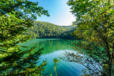 Ballon Lake in Alsaceの写真素材