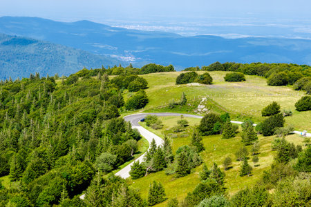 winding mountain road in summerの写真素材