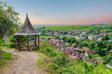 ribeauville panorama taken in summerの写真素材