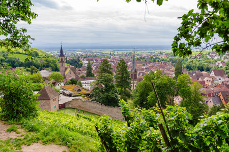 ribeauville panorama taken in summerの写真素材