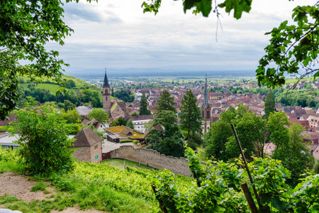 ribeauville panorama taken in summerの写真素材