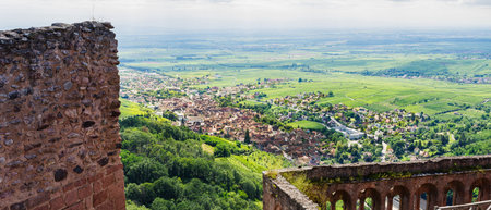 ribeauville panorama taken in summerの写真素材