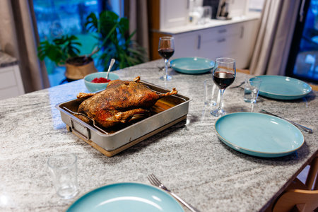 goose baked on November 11thの写真素材