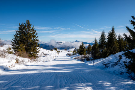 Beautiful winter landscape in the austrian alps with snow covered treesの写真素材