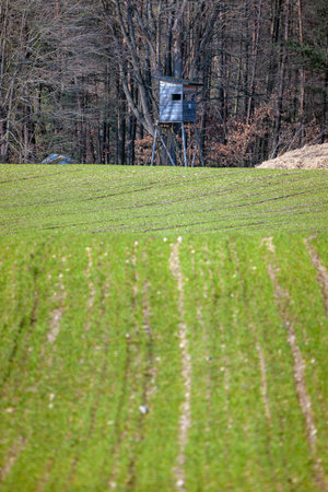 hunting stand on the edge of the forest and fieldの写真素材
