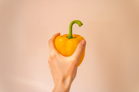 Woman hand holding big yellow bell pepper on the light backgroundの写真素材