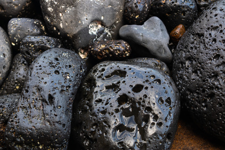 Wet black volcanic stones on the shore - Imageの写真素材