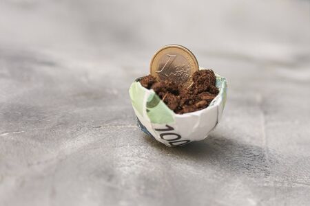 euro coin sprouts in the ground in a container. economic growth concept