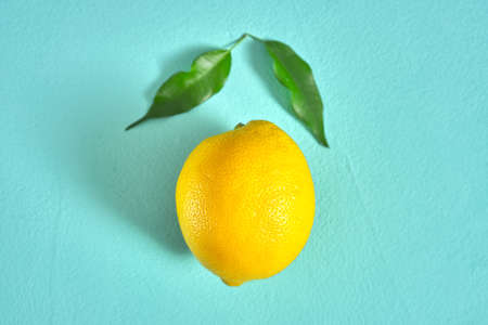 fresh yellow lemon with green branch with leaves. turquoise background