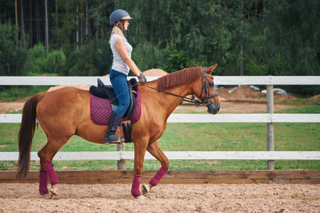 woman rider rides horse on ranch