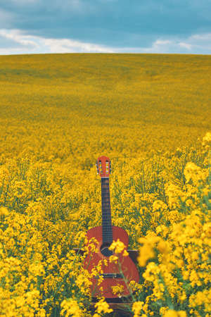 guitar in a rapeseed field. concept inspiration creativityの写真素材