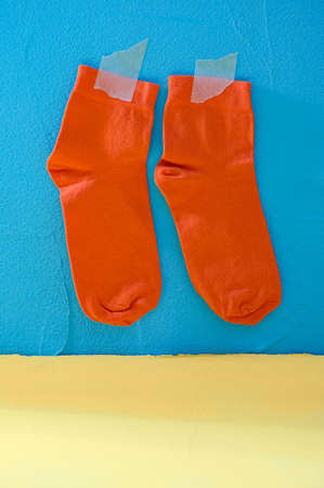 Clean socks drying. Blue backgroundの写真素材