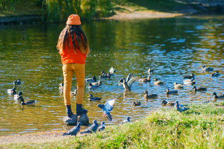 young girl feeding pigeons and ducks on the lake