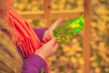 ittle girl holds in her hands a painted autumn leaf of a tree