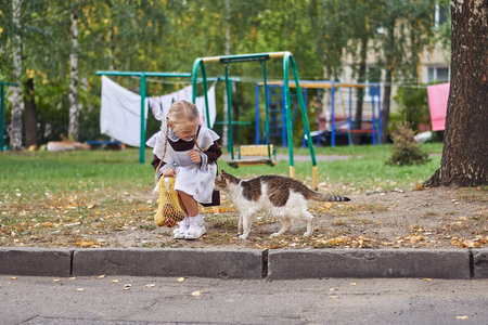 little girl and stray cat in the yardの写真素材