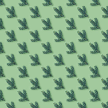 pattern from fir branches. Mint green pastel backgroundの写真素材