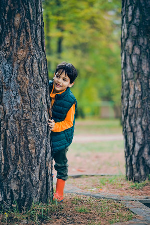 A little boy looks out from behind a tree in the park.の写真素材