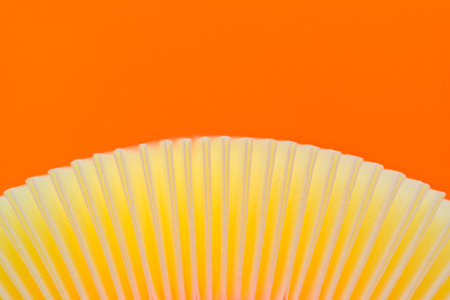 An abstract image of the new air filter. orange background. copy spaceの写真素材