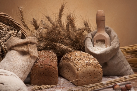 Rolls and breadの写真素材